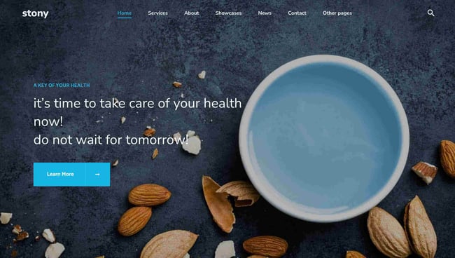 business website templates, stony